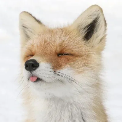 Image: Cuteness overload!!1!