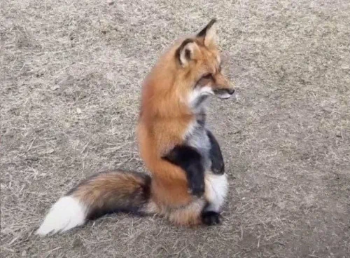 Image: u looking at dat shit?!